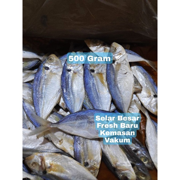 

Ikan Asin Selar Size Besar 500 Gram