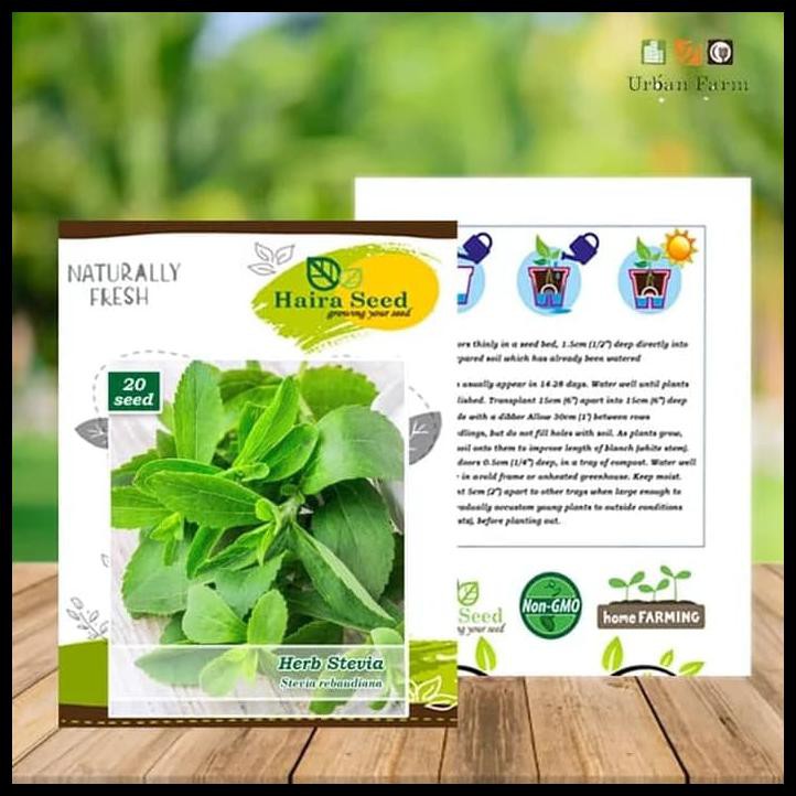 ISI 20 BENIH HERBA STEVIA (HAIRA SEED)