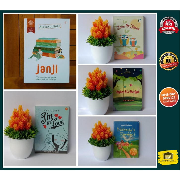PAKET 5 BUKU Novel Janji - Alifiana Nufi