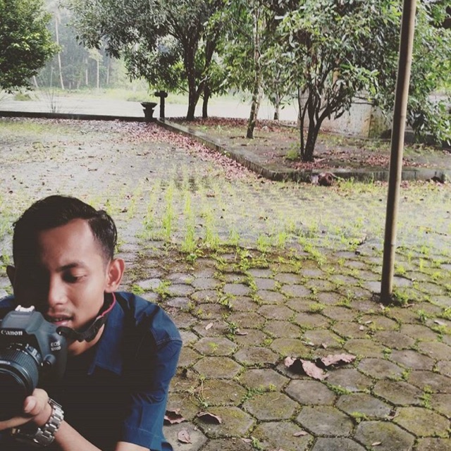 wijar.