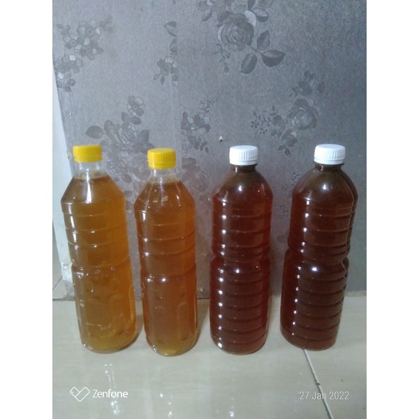

MADU HUTAN LIAR APIS DORSATA