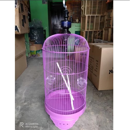 KANDANG KAPSUL LOVEBIRD DRAGON KHUSUS GO SEND UNGU