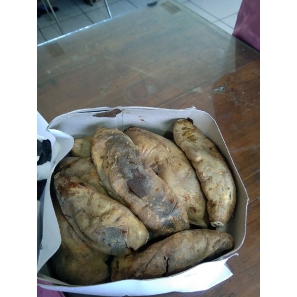 

Tela Oven