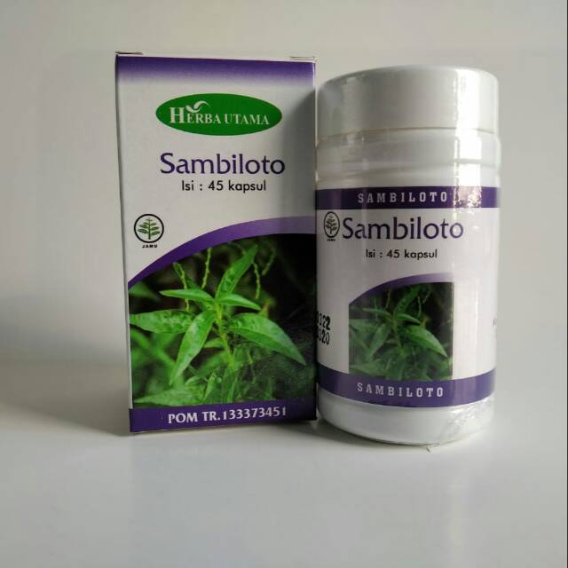 

obat anti biotik alami