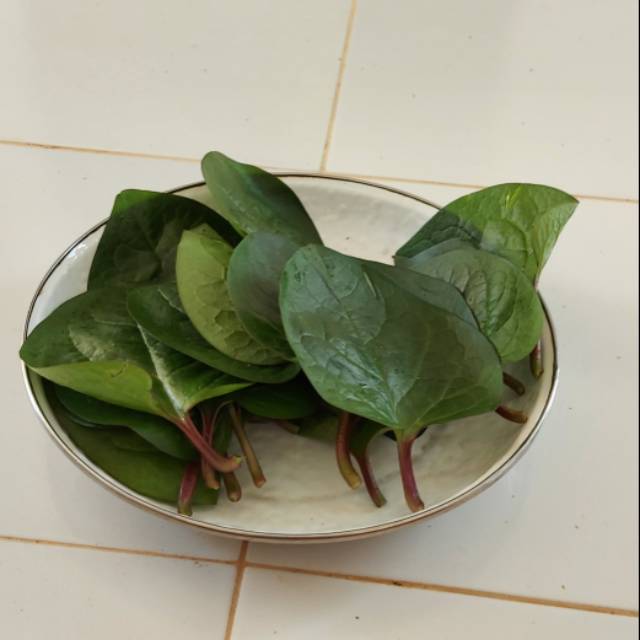 

Daun Binahung/Gendola merah
