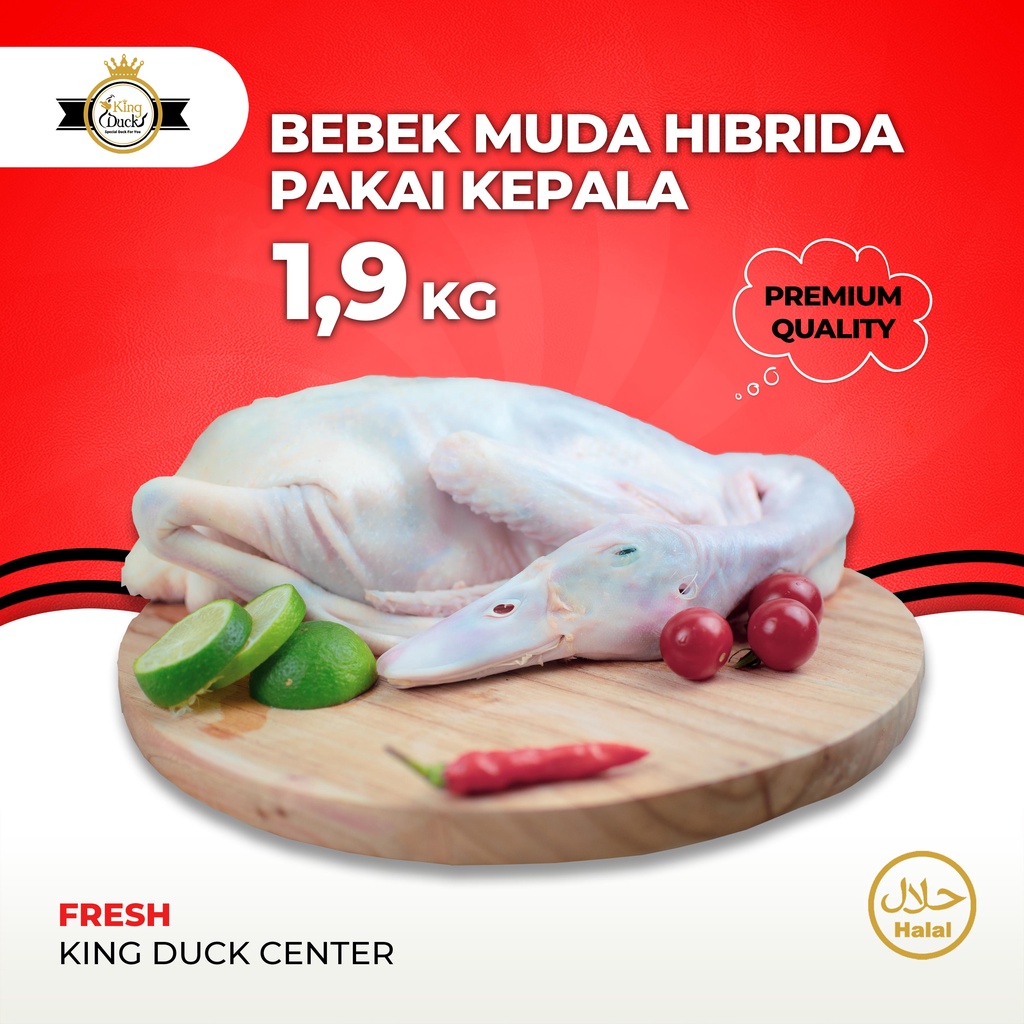 

DAGING BEBEK HIBRIDA 1.9KG PAKAI KEPALA KAKI