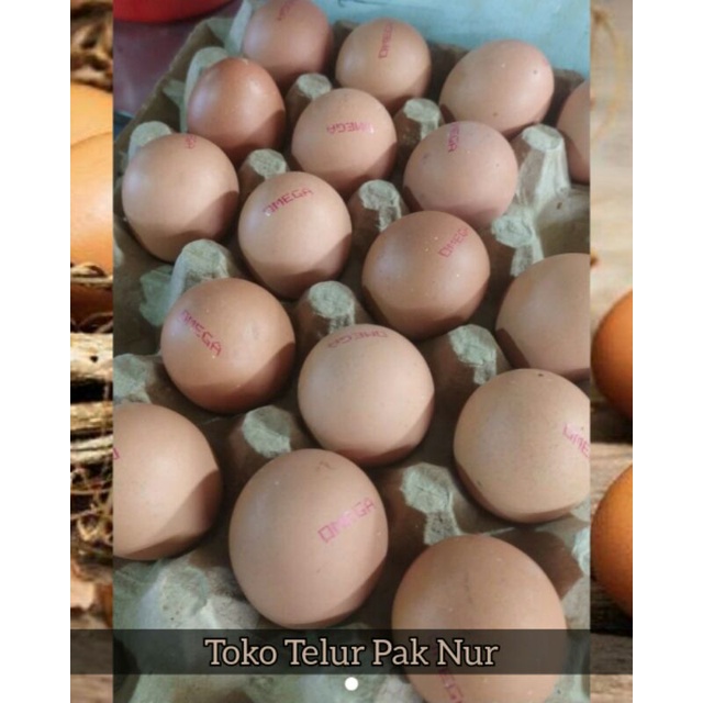 

Telur Ayam Omega 1KG