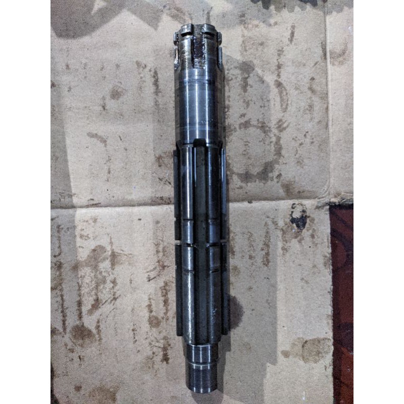 As gir tiger tirev ori copotan