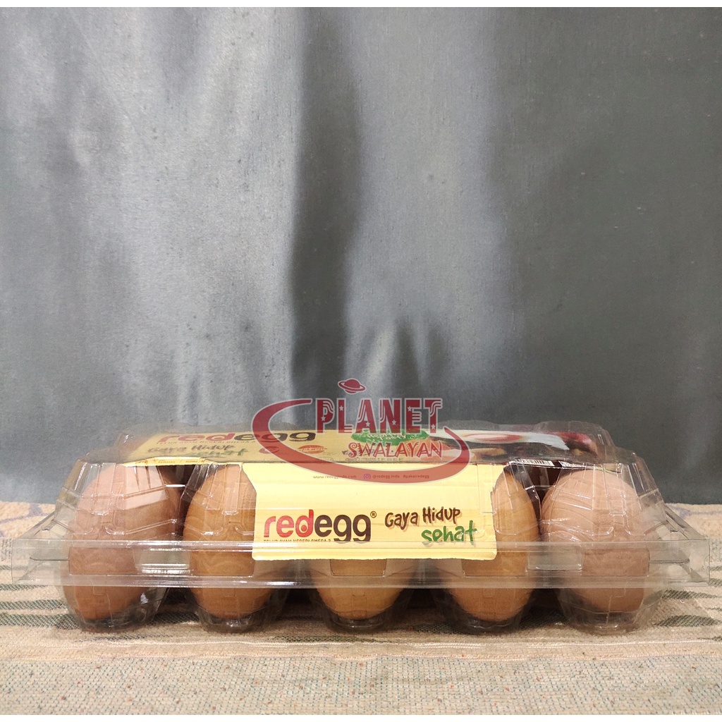 

RED EGG TELUR AYAM ORGANIK