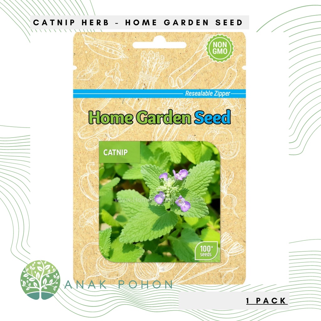 (1 PACK) Benih Catnip Herb Seeds - Home Garden Seed HGS - 100+ SEEDS