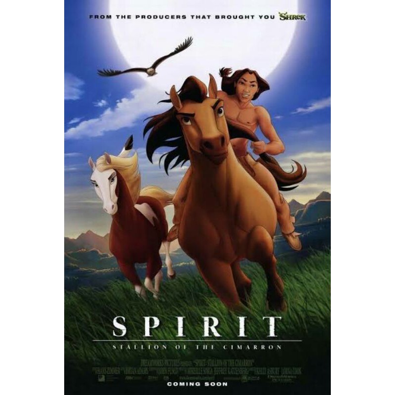 DVD THE SPIRIT (2002)