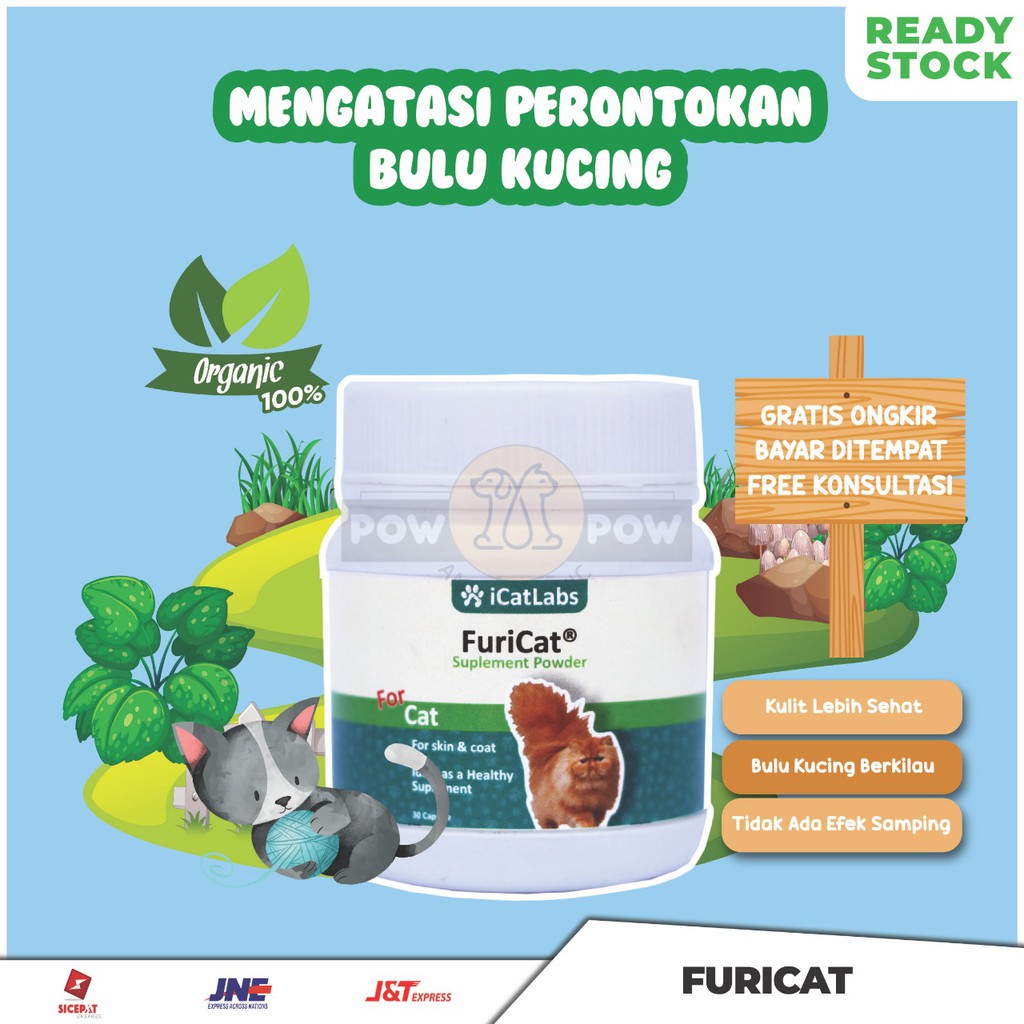 Vitamin Kucing Organik Suplemen Herbal Mengatasi Bulu Rontok Paling Ampuh
