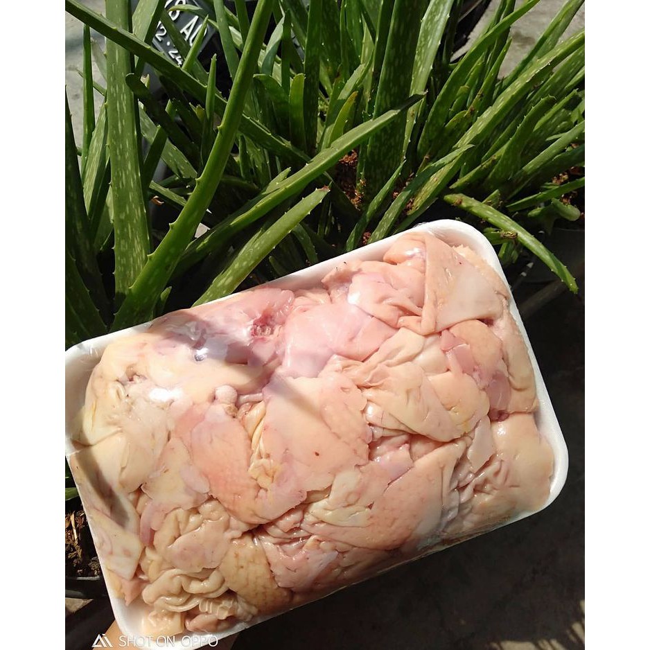 

daging kulit ayam segar