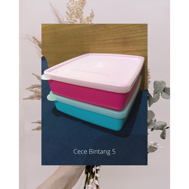 Tupperware Kotak Makan Bekal Anak Kecil HARGA PROMO