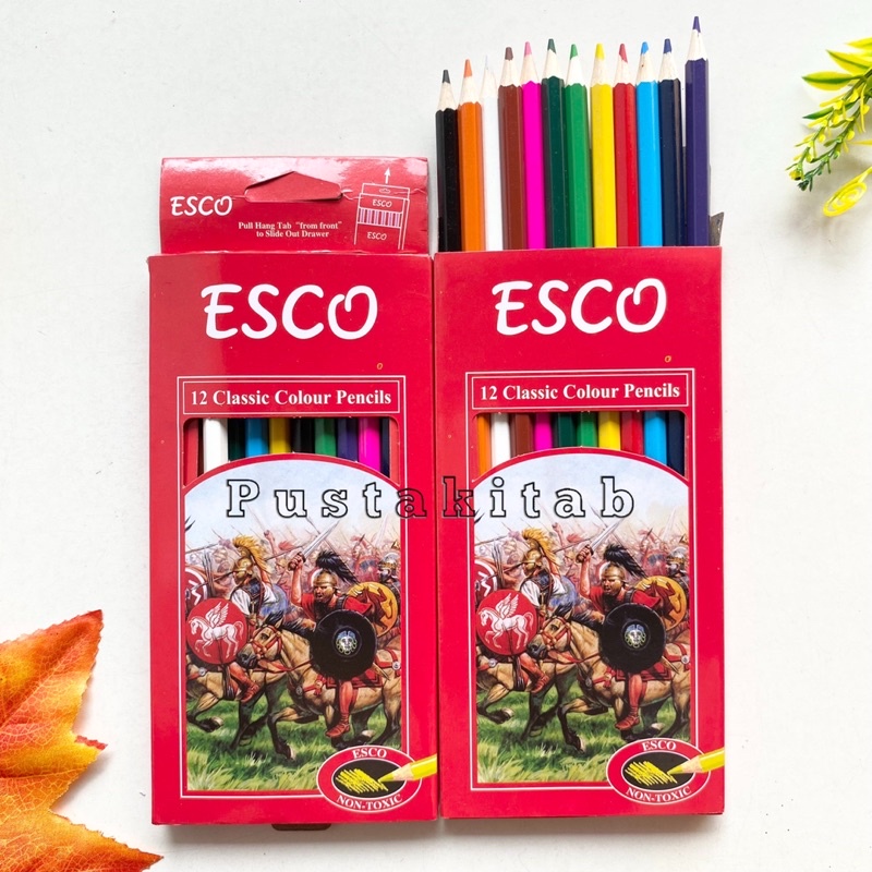 

PENSIL WARNA ESCO PANJANG 12 WARNA