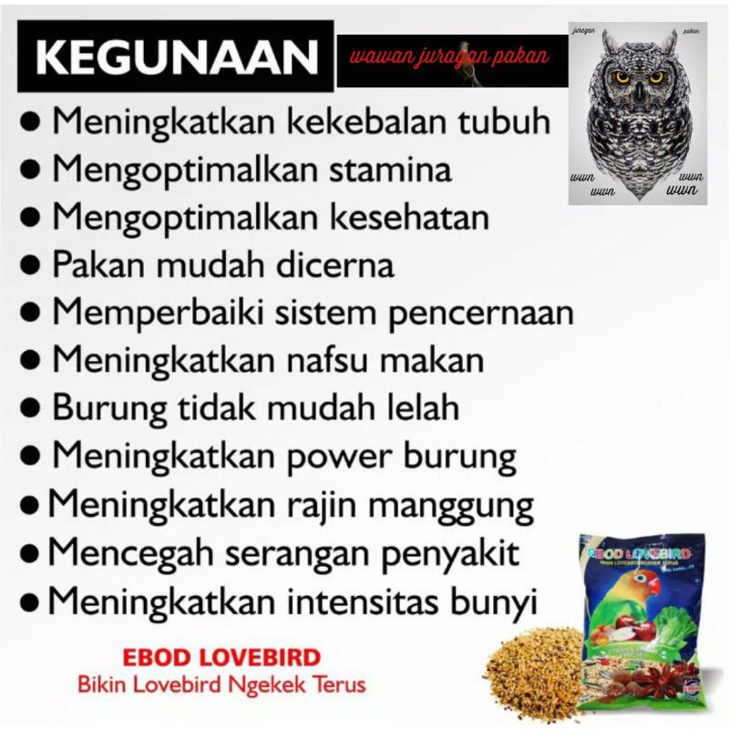 pakan burung Lovebird, Ebod lovebird