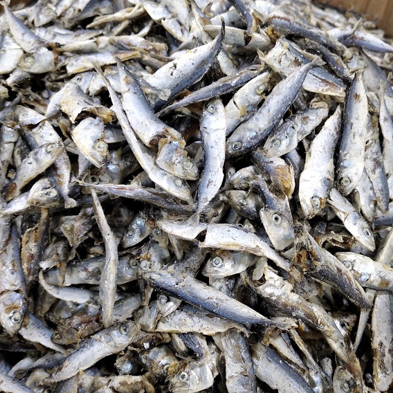 

Ikan Teri Rebus 1/2 kg Bisa COD Khas Medan Wiendalove