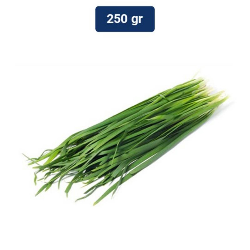 

daun kucai 250 gram