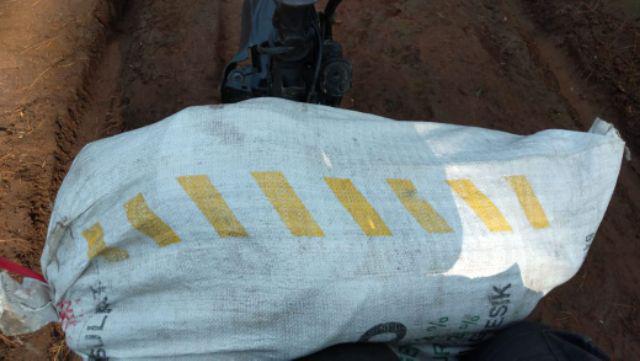 Mika Brownis S Harga Per Pcs