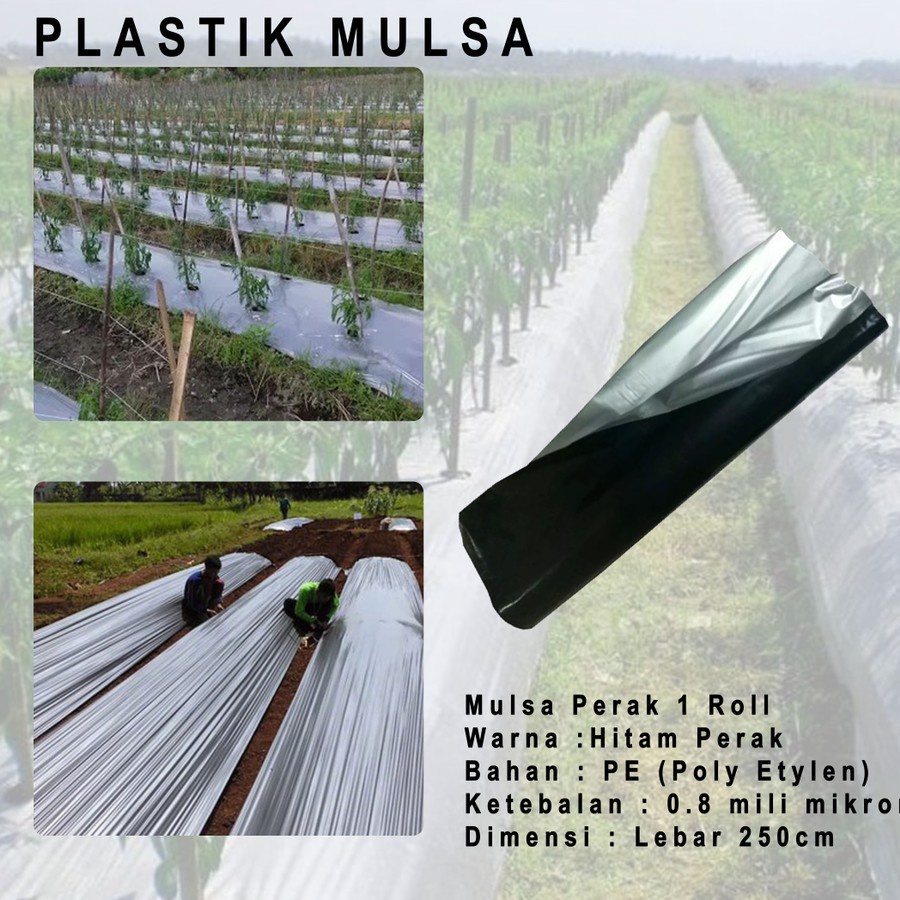 Plastik Mulsa Hitam Perak Lebar 250cm Tebal 0.8mm 1 Roll pertanian sawah kebun tanah hitam perak pac
