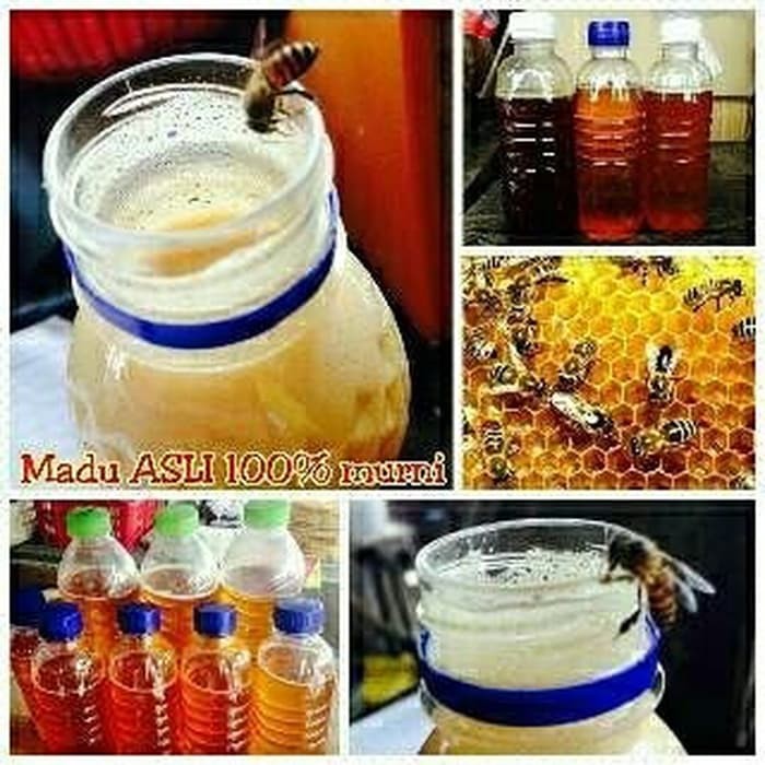 

Madu Asli Bangka (Pahit) - MMD2616