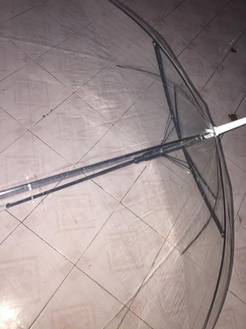 Payung Transparan Korea Japanese Style New Foto Prewedding