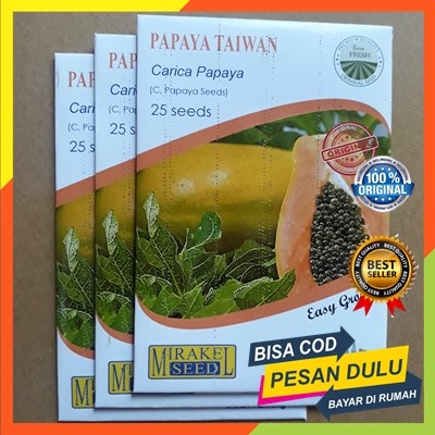 Benih Biji Pepaya Taiwan Thailand Bangkok isi 25 biji