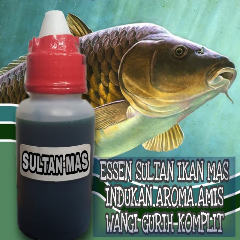 Essen Ikan Mas Induk Babon Essen Oplosan Ikan Mas Induk Essen Ikan Mas Ikan Babon Ikan Rame Essen Ik