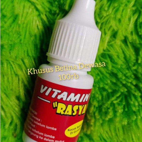 Rasya ocid vitamin lovebird Betina dewasa merangsang durasi dan berstamina di gantangan
