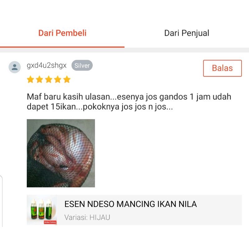 ESEN NDESO MANCING IKAN NILA