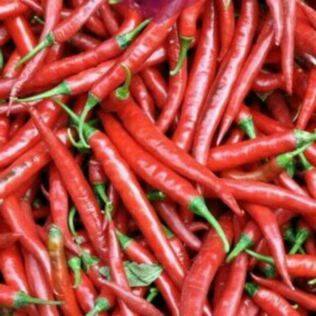 

Cabe merah Besar 250gr