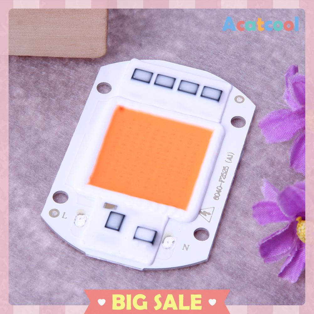 Chip Input Ic Driver Led Cob 50w 220v