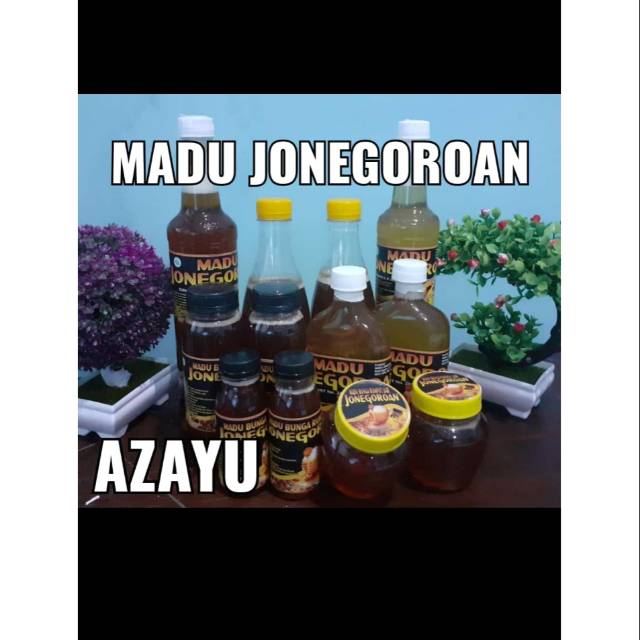 

Madu jonegoroan azayu