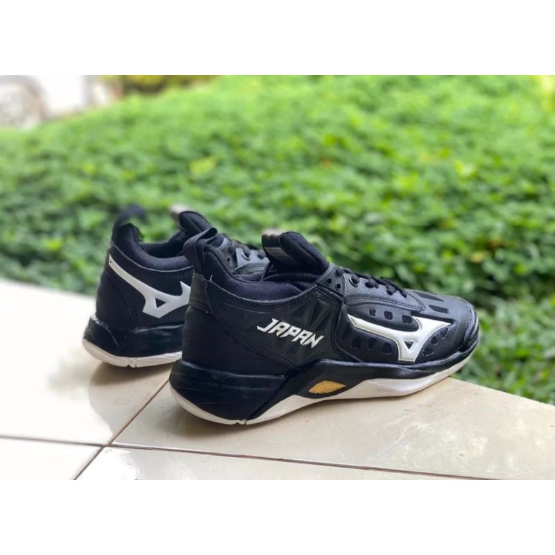 Sepatu Mizuno / Sepatu Voli Wanita / Mizuno Momentum Japan