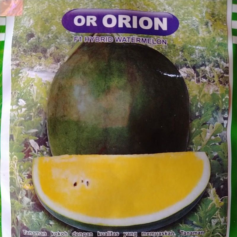 500 benih semangka kuning F1 Hybrid Water Melon