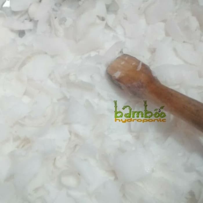 Kelapa Muda - Kelapa Muda Kerok - Kelapa Muda Pret