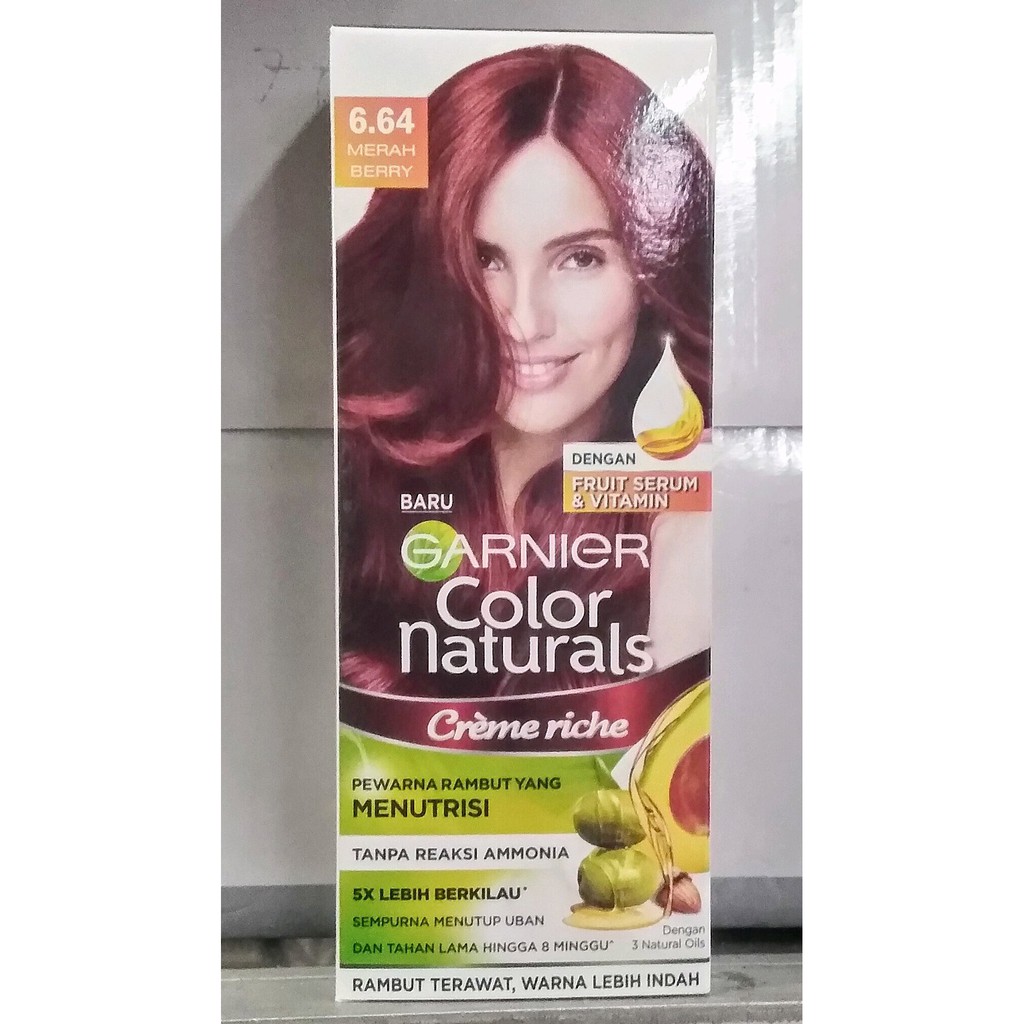 GARNIER Color Naturals BOX