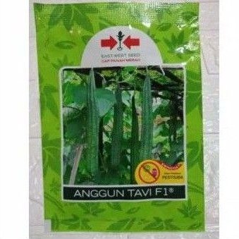 benih oyong anggun tavi f1