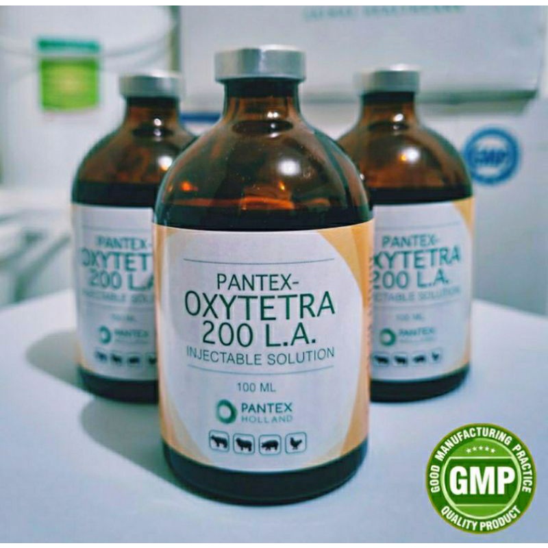 PANTEX OXYTETRA 200 LA 100ML OBAT PERNAFASAN INJEKSI UNTUK HEWAN TERNAK SAPI KAMBING BABI KUDA KERBA