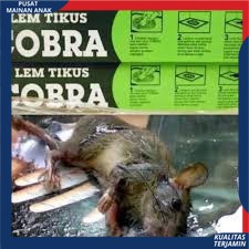 Lem Tikus / Jebakan Tikus / Cobra / Lem Tikus Cobra Super Lengket Ampuh &amp; Berkualitas Best Quality