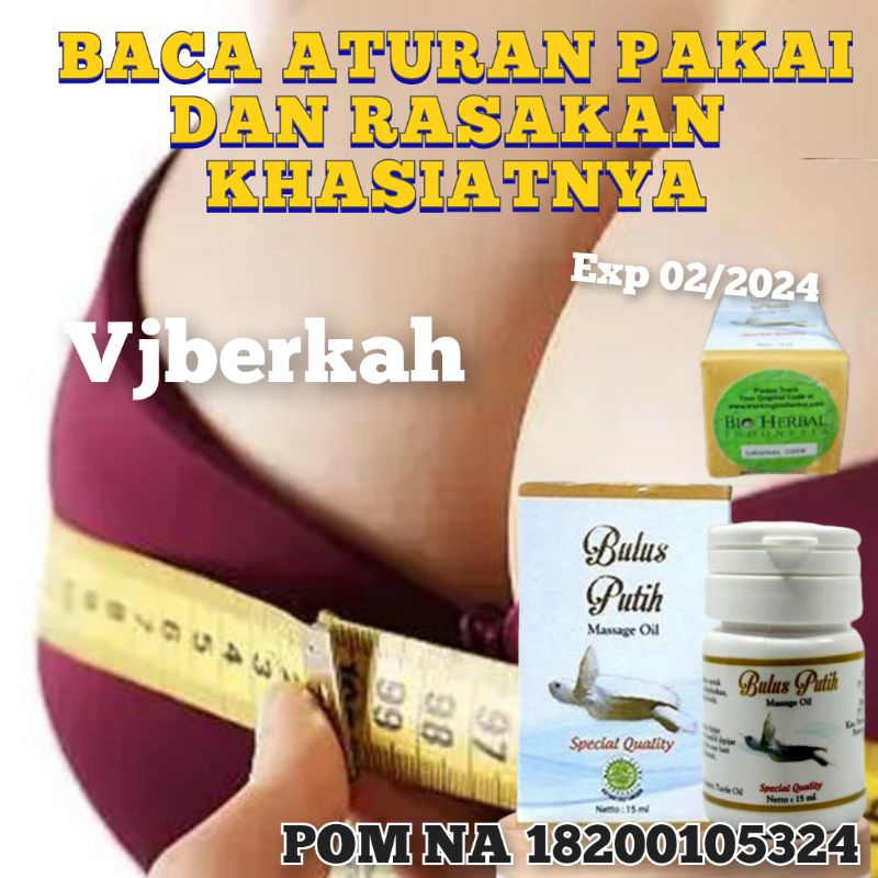 MINYAK BULUS PUTIH 15ml MASSAGE OIL ORIGINAL TERDAFTAR DI BPOM