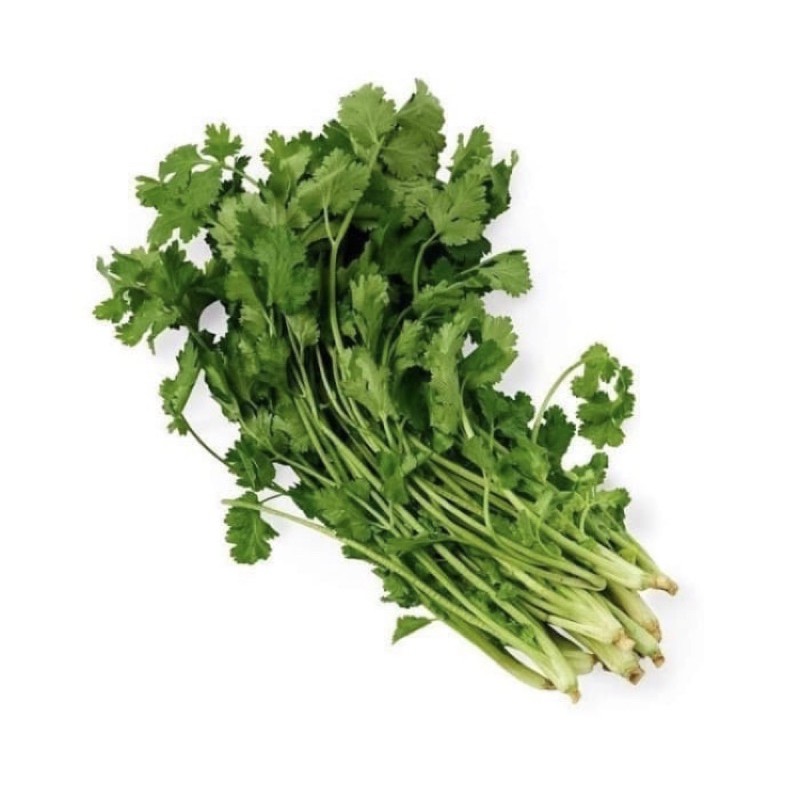 

Daun ketumbar Coriander Leaf Sayur Wansui Yensui 100 gr