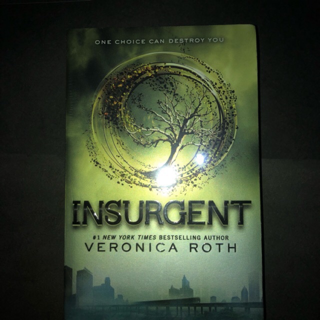 Jual BUKU THE DIVERGENT SERIES/ BUKU KEDUA DIGERVENT TRILOGY JUDUL ...