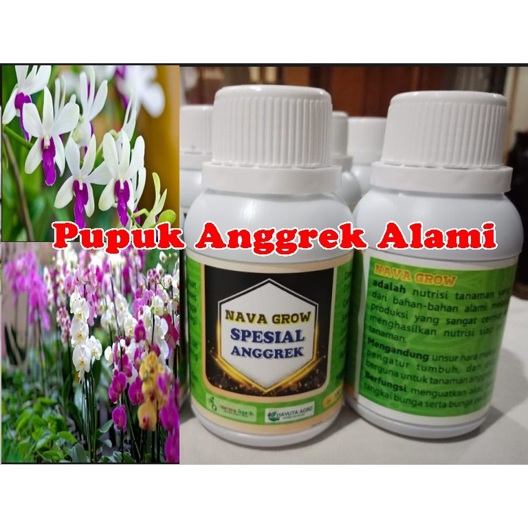 Pupuk Anggrek Dendrobium Shopee Indonesia