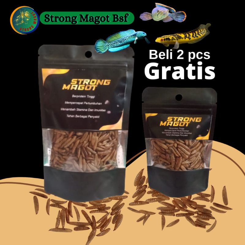 Strong Magot - Beli 2 free 20g - Ukuran 50g- Magot Bsf