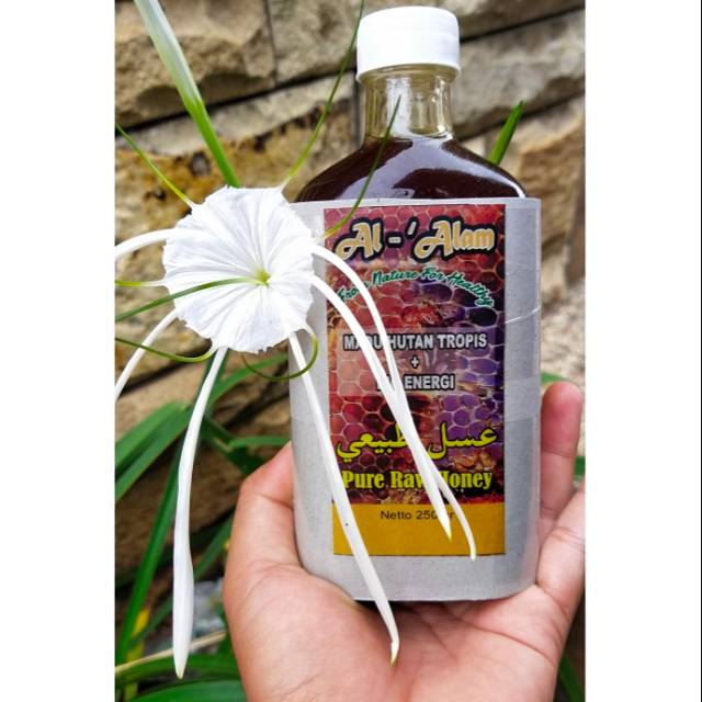 

Madu Hutan Alami Murni Original Bio Energi