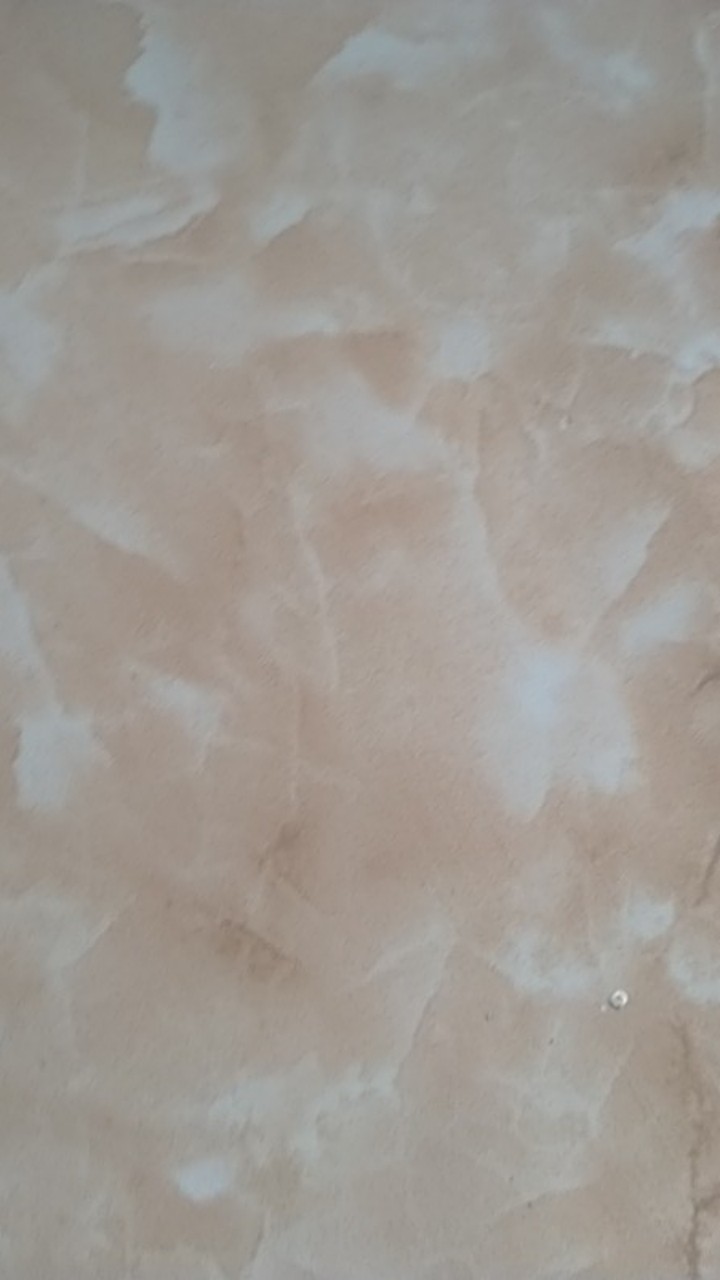 Sekrup Fisher Set S6 / Fiser Skrup Set S6  / Fisher S6 /fiser Paku/baut