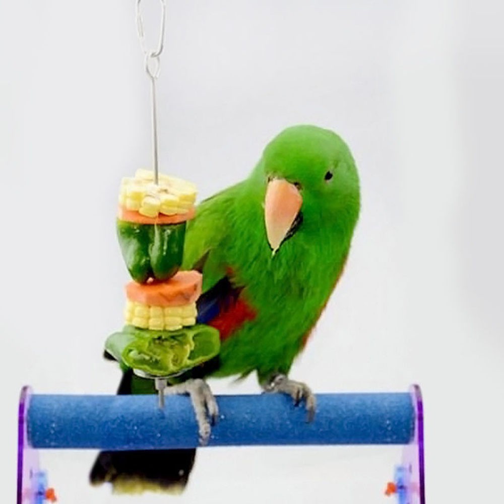 Kandang Hewan Peliharaan Bahan Stainless Steel Untuk Burung Kakak