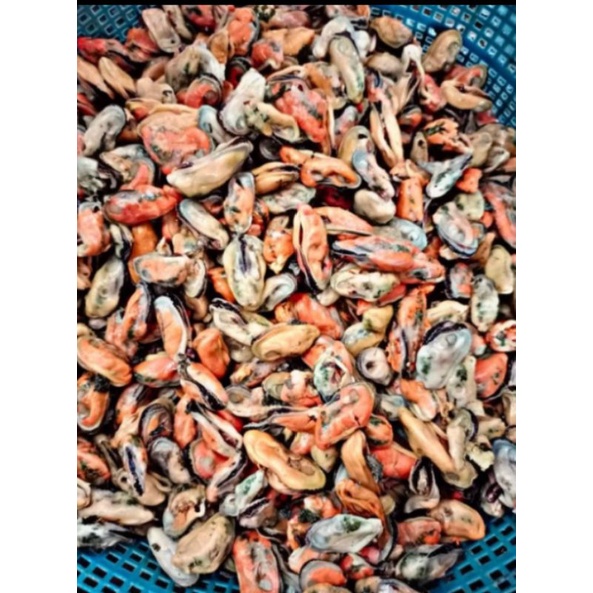 

kerang hijau kupas segar per 500gr