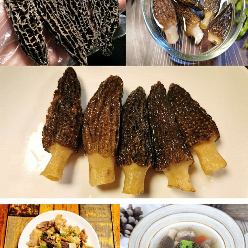 Jual jamur morel kering / dried morel mushroom (20gram/ 40 gram) dari